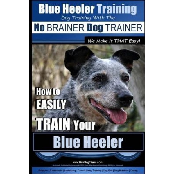 Blue Heeler Training - Dog Training with the No Brainer Dog Trainer We Make It That Easy! -: How to Easily Train Your Blue Heeler, MR Paul Allen Pearce (Author)