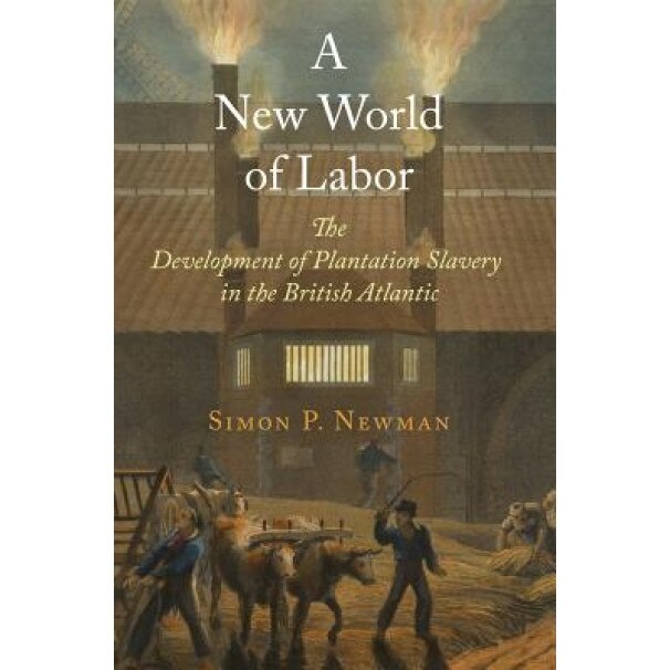 A New World of Labor: The Development of Plantation Slavery in the British Atlantic, Simon P., Professor Newman (Author)