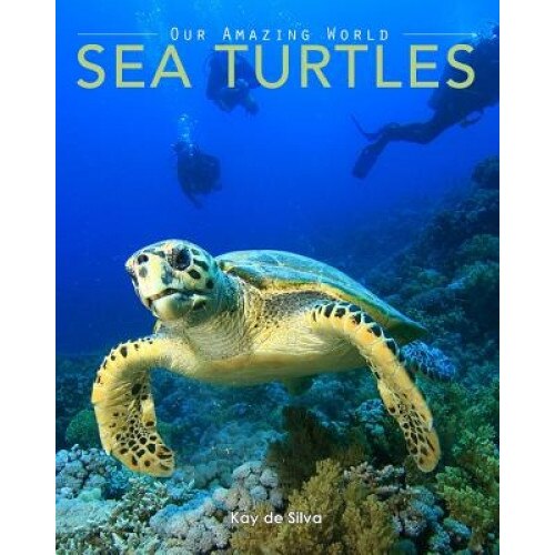 Sea Turtles: Amazing Pictures & Fun Facts on Animals in Nature, Kay De Silva (Author)
