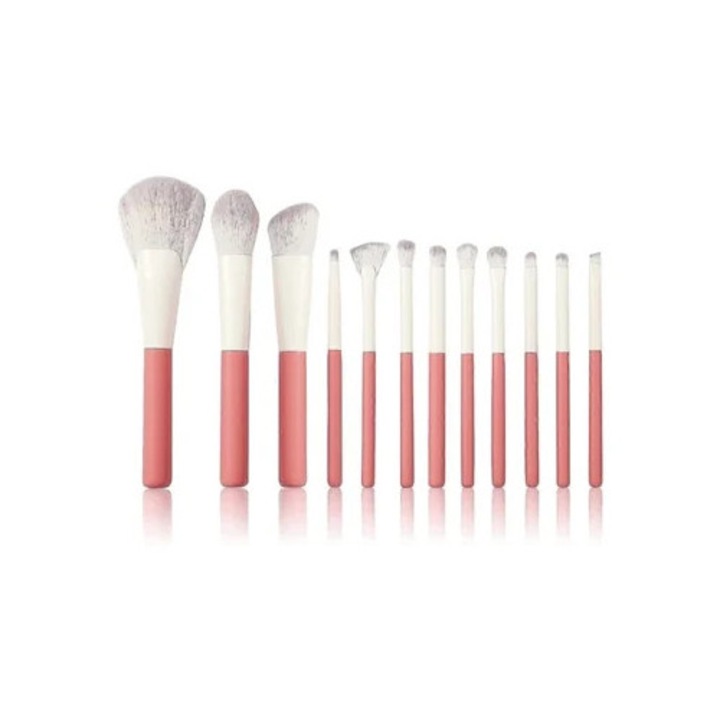 Set pensule machiaj 12 piese cu carcasa transparenta, Terracotta Rosewell