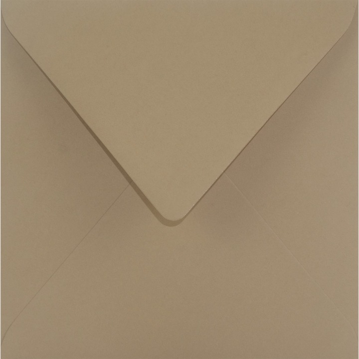 Комплект декоративни пликове квадратни, Netuno, Aster Color, Гладка, Екологична, K4, 15.3 x 15.3 см, 120 гр/м2, Тъмно бежов Шийтаке, Идеални за покани и поздравителни картички, 25 бр.