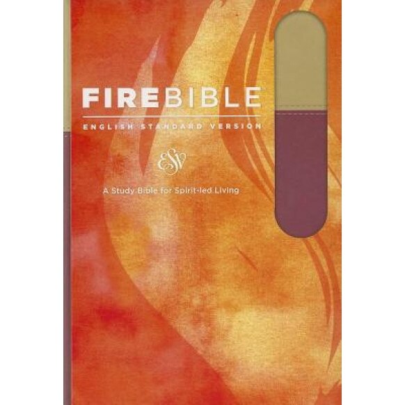 Fire Bible-ESV, Donald Stamps (Editor)
