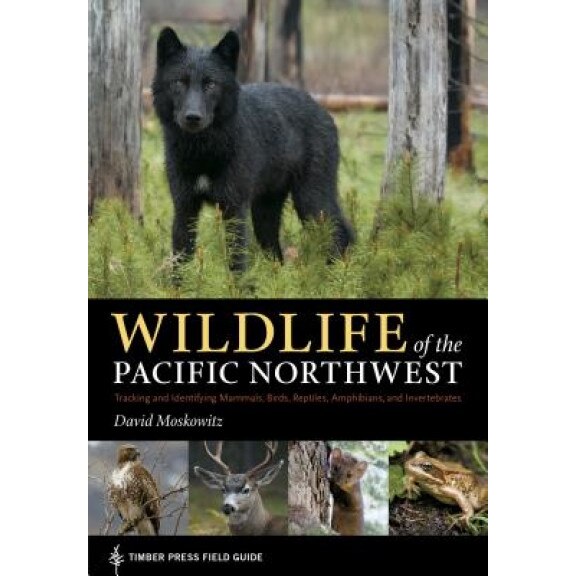 Wildlife of the Pacific Northwest: Tracking and Identifying Mammals, Birds, Reptiles, Amphibians, and Invertebrates, David Moskowitz