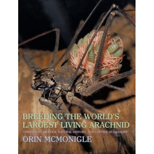 Breeding the World's Largest Living Arachnid: Amblypygid (Whipspider) Biology, Natural History, and Captive Husbandry, Orin McMonigle (Author)
