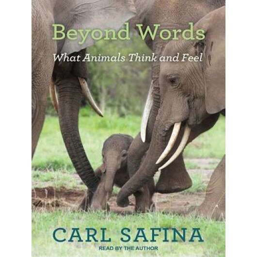 Beyond Words: What Animals Think and Feel, Carl Safina (Author)