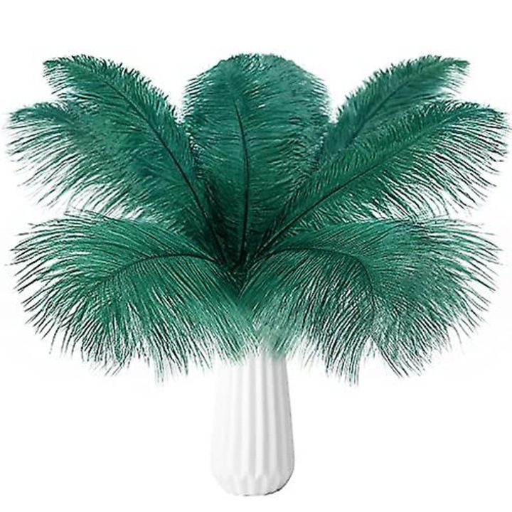 Set 20 pene strut, verde inchis, 13-15inch, accesorii decorative