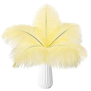 Accesorii decorative