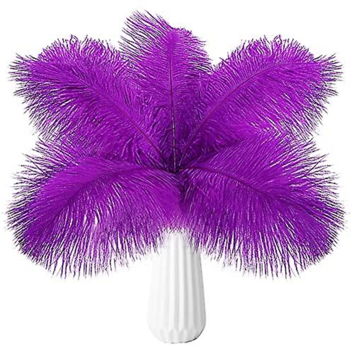 Set 20 pene strut, mov, 13-15inch, accesorii decorative