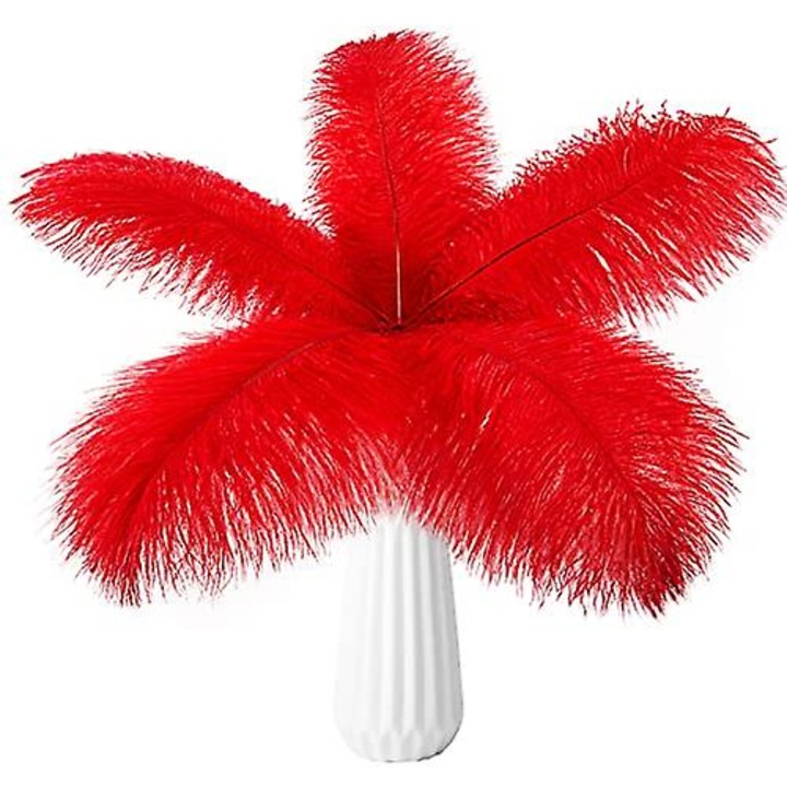 Set 20 pene strut rosii 13-15inch pentru decorare evenimente