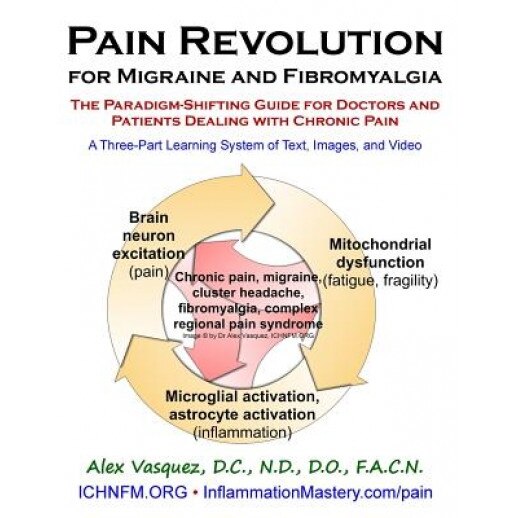 Pain Revolution for Migraine and Fibromyalgia: The Paradigm-Shifting Guide for Doctors and Patients Dealing with Chronic Pain, Alex Vasquez (Author)