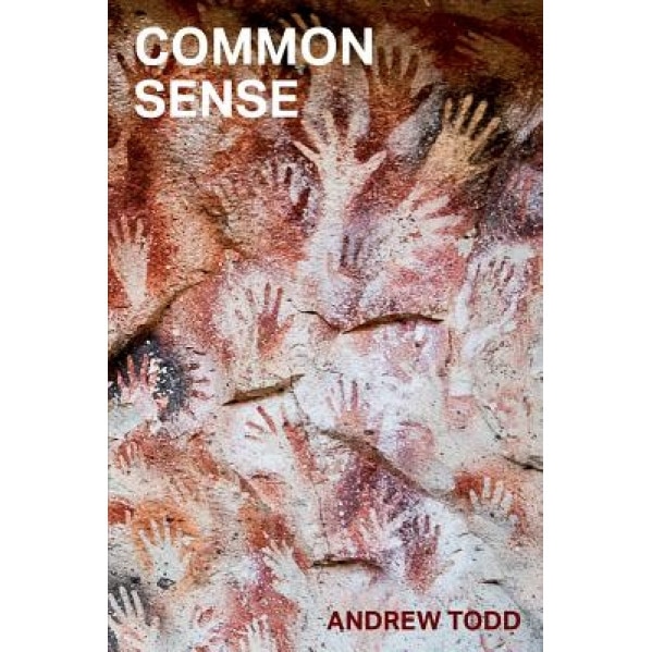 Common Sense, Andrew Todd (Author)