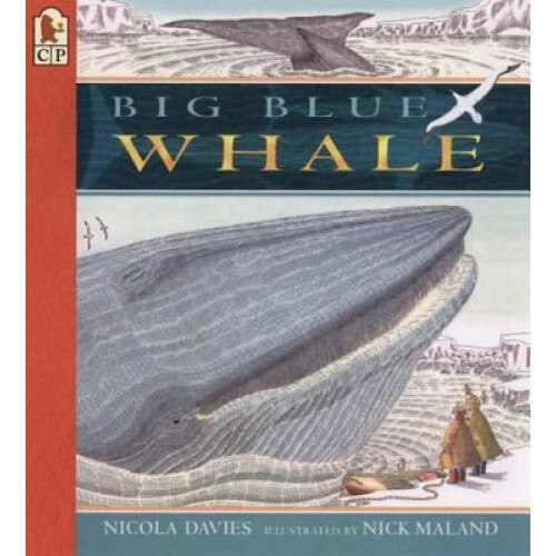 Big Blue Whale, Nicola Davies