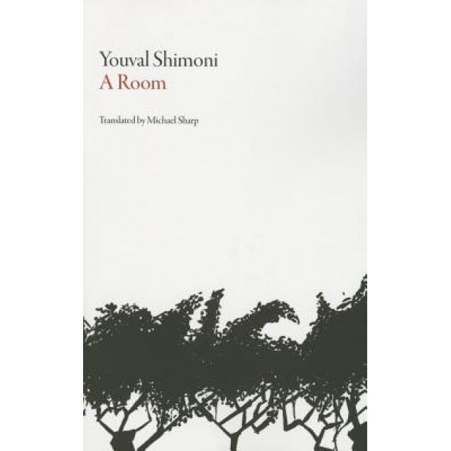 Room, Youval Shimoni (Author)
