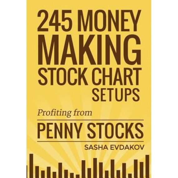 245 Money Making Stock Chart Setups: Profiting from Penny Stocks - Sasha Evdakov (Author)