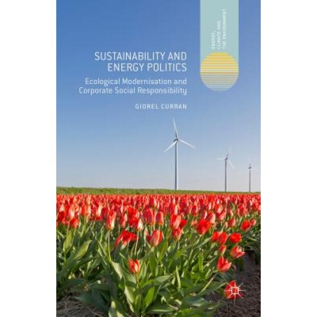 Sustainability and Energy Politics: The Promises of Ecological Modernisation and Corporate Social Responsibility - Giorel Curran (Author)