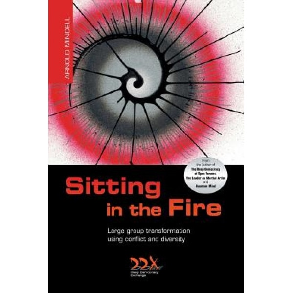 Sitting in the Fire: Large Group Transformation Using Conflict and Diversity, Arnold Mindell (Author)