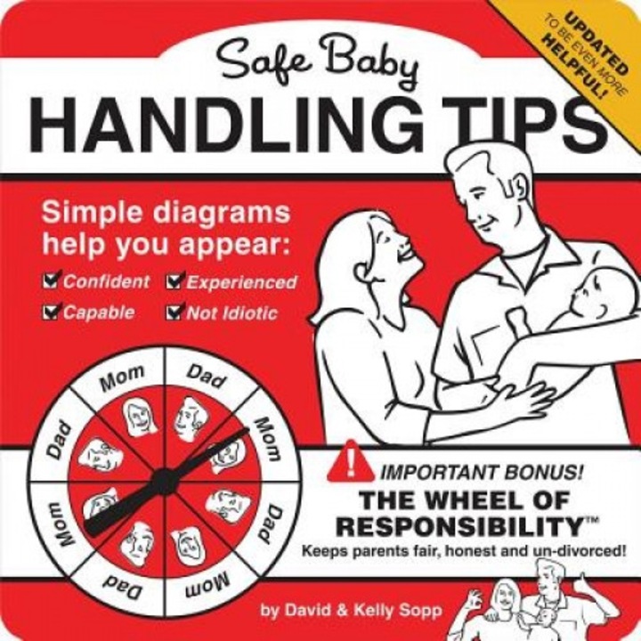 Safe Baby Handling Tips, David Sopp (Author)