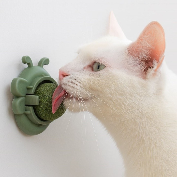 Jucărie de perete pentru pisici, model Fluture, catnip, verde, montare adezivă