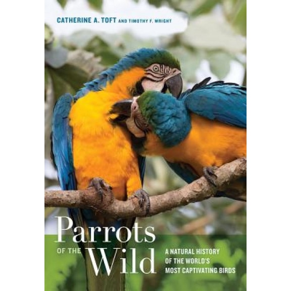 Parrots of the Wild: A Natural History of the World's Most Captivating Birds, Catherine Ann Toft (Author)