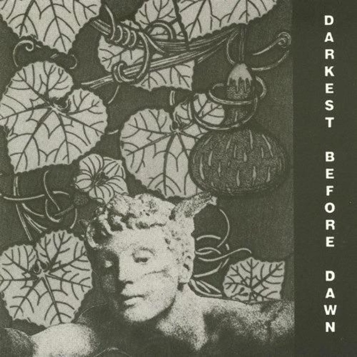 Dark Day - Darkest Before Dawn (1CD)