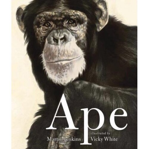 Ape, Martin Jenkins