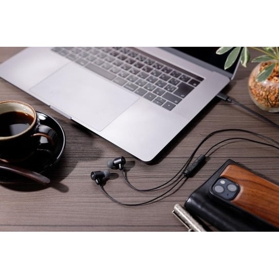Casti JVC HA-FR29UC-B-U, Cu fir, In-Ear, Microfon, USB-C, Functie Mod Sunet, Husa, negru