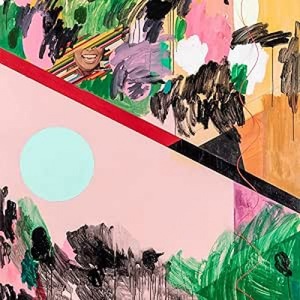 Vinyl-uri si cd-uri muzica