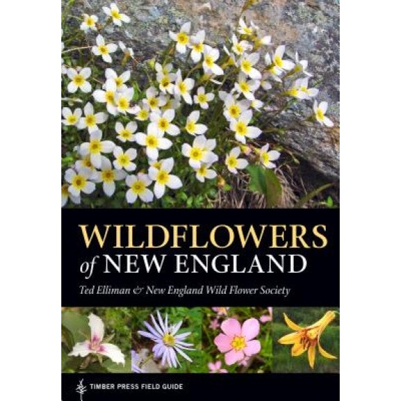 Wildflowers of New England, Ted Elliman (Author)