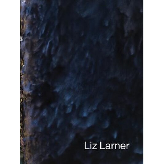 Liz Larner, Liz Larner (Artist)