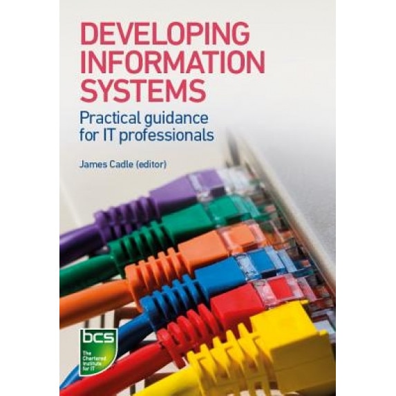 Developing Information Systems: Practical Guidance for It Professionals - James Cadle (Editor)