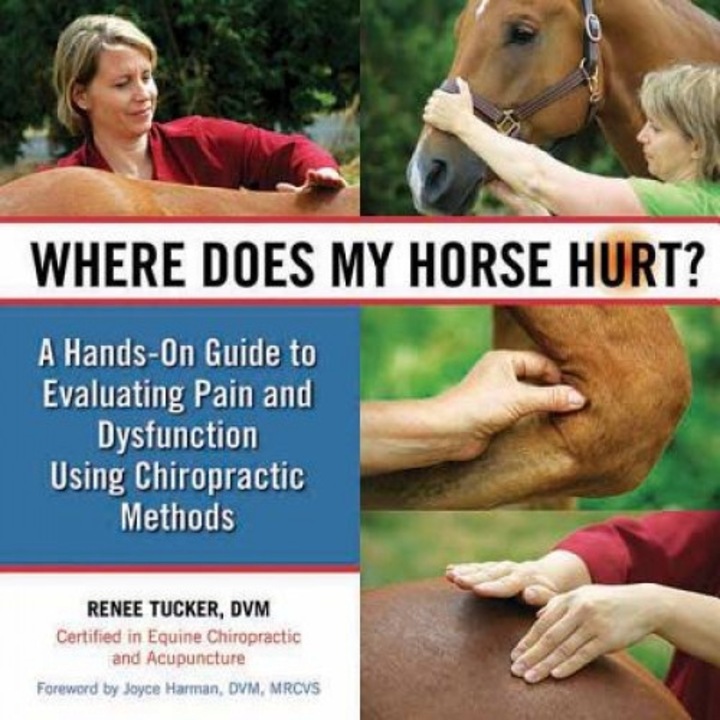Where Does My Horse Hurt?: A Hands-On Guide to Evaluating Pain and Dysfunction Using Chiropractic Methods - Renee Tucker (Author)