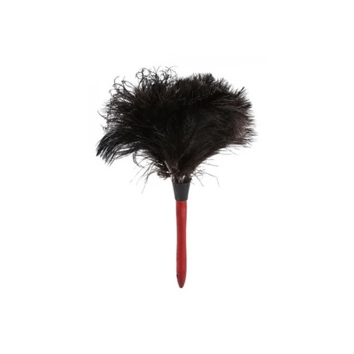 Pamatuf din pene naturale cu maner din lemn, unelte pentru curatarea mobilei