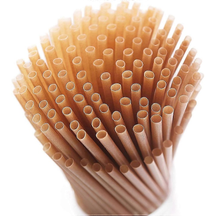 Paie compostabile din trestie de zahar, paie de baut biodegradabile, rezistente la temperaturi -20 pana la 70°C, fara BPA, maro natural, 200 bucati, 8 inch, diametru 0.24