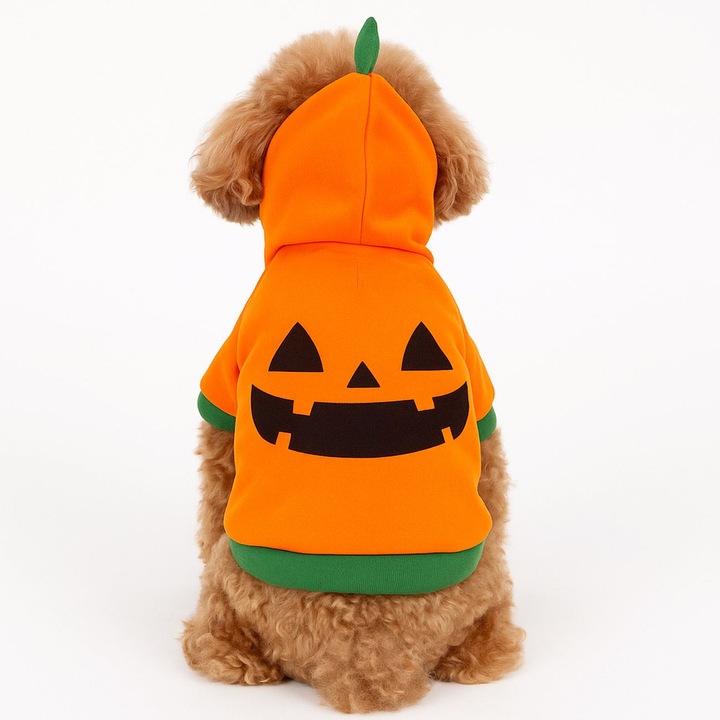Hanorac Portocaliu cu Model Dovleac de Halloween & Gluga pentru Caini
