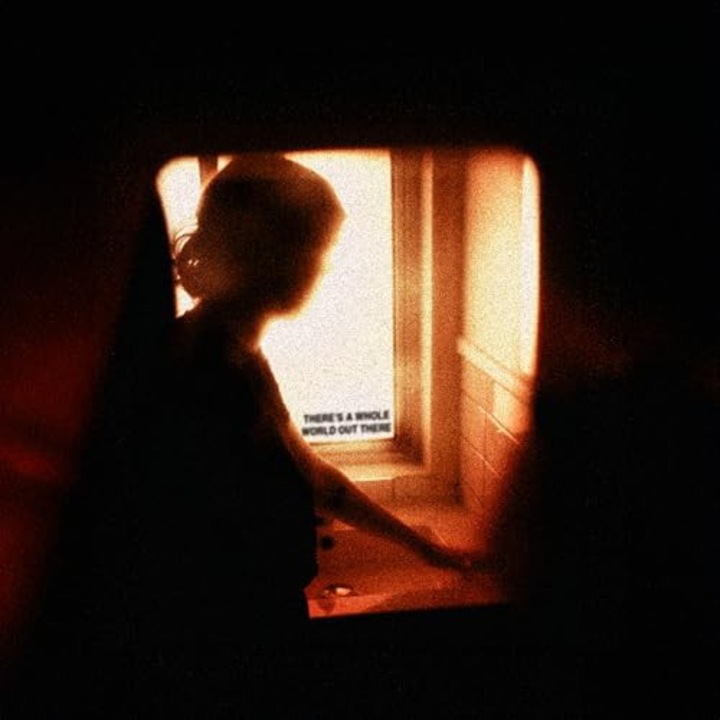 Arm's Length: There's A Whole World Out There [Winyl]