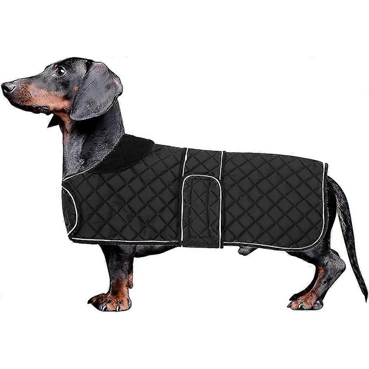 Caciula pentru caini, impermeabila si rezistenta la vant, pentru Dachshund, captuseala din fleece, ajustabila, multicolor, marime la cerere