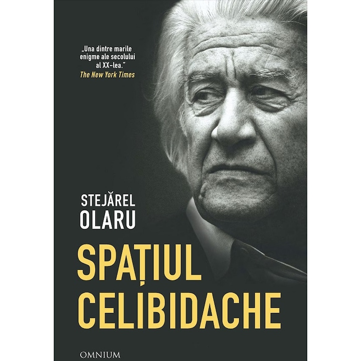 Spatiul Celibidache - Stejarel Olaru