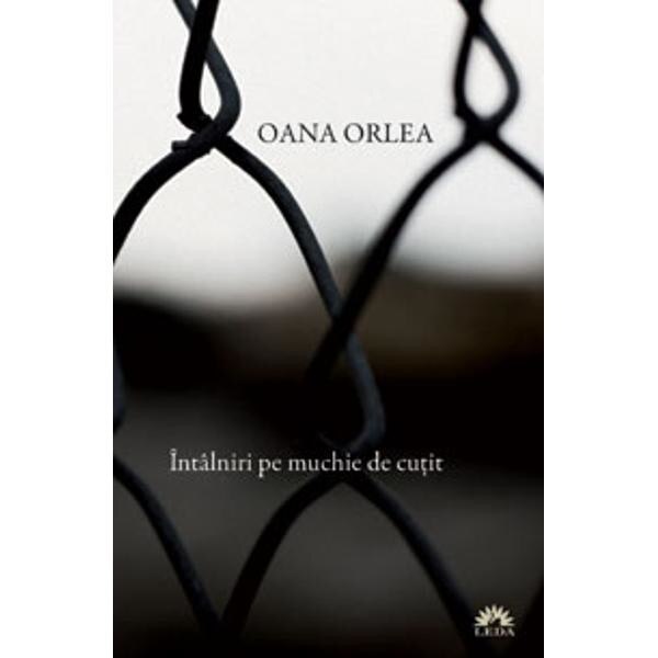 Intalniri pe muchie de cutit - Oana Orlea