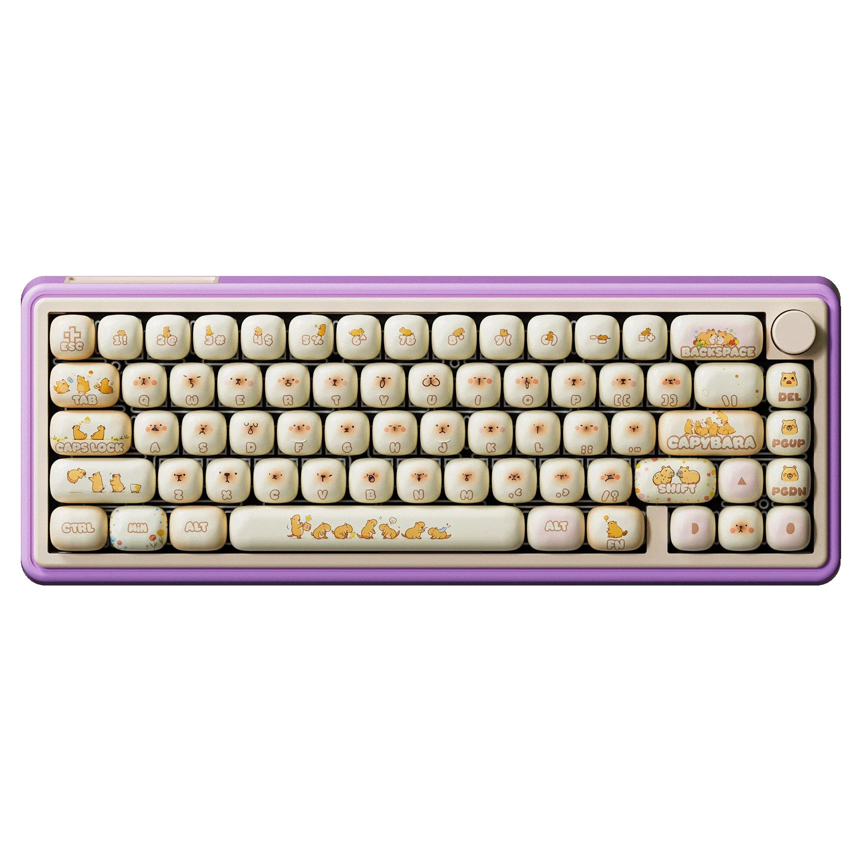 Tastatura mecanica gaming QwertyKey65 Pro Capybara Bluetooth