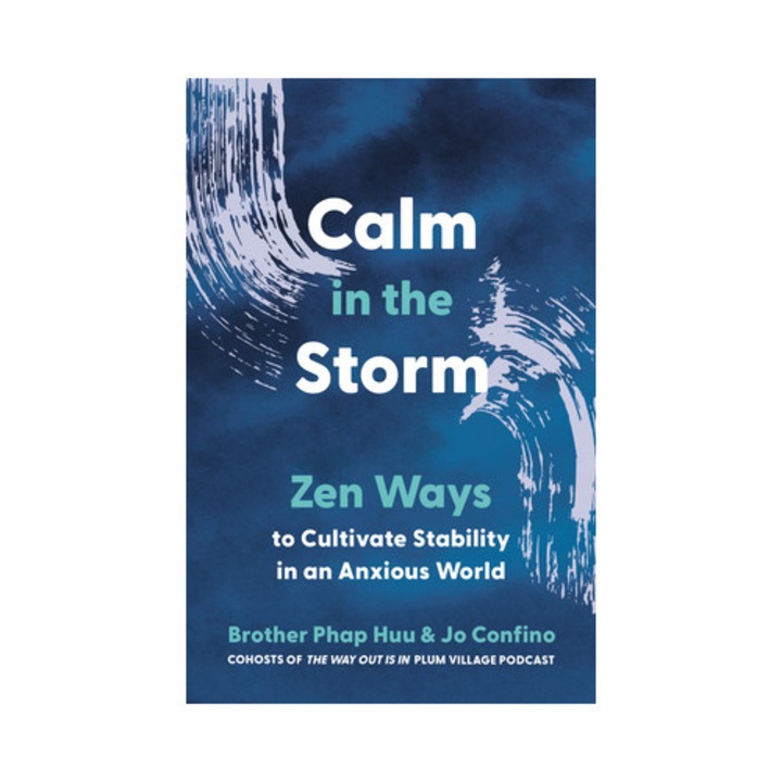 Calm In The Storm: Brother Phap Huu, 2025