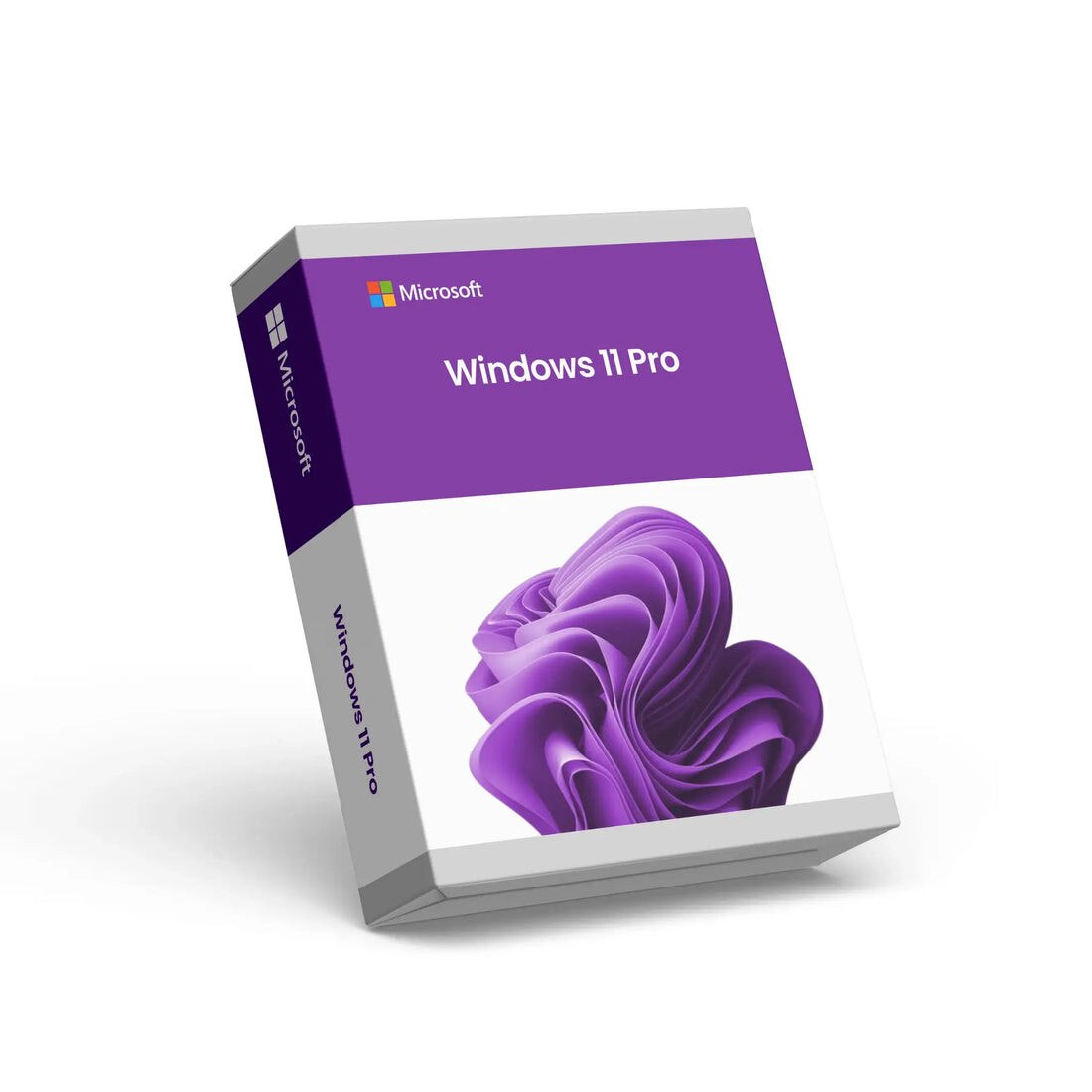 Microsoft Windows 11 Pro USB si Office 2024 Professional Plus