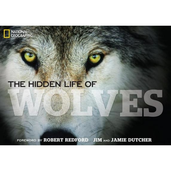 The Hidden Life of Wolves, Jim Dutcher (Author)
