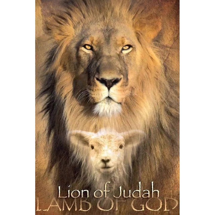 Puzzle 1000 piese, decorativ, dimensiune 75x50cm, imprimeu viu