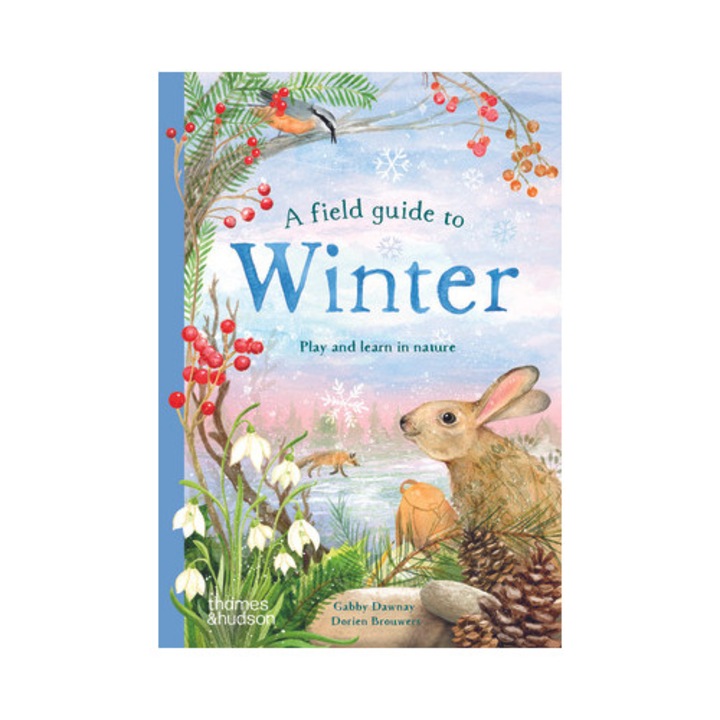 A Field Guide To Winter: Play And Learn In Nature - Gabby Dawnay