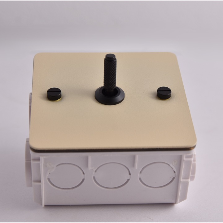 Intrerupator simplu TAM Retro, Ivoire - Negru