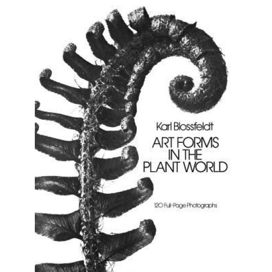 Art Forms in the Plant World, Karl Blossfeldt