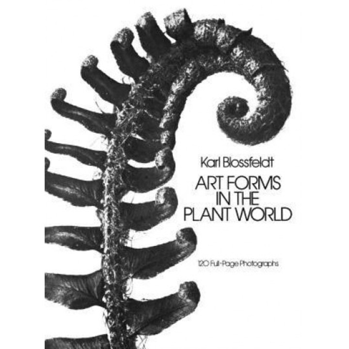 Art Forms in the Plant World, Karl Blossfeldt