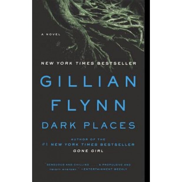 Dark Places, Gillian Flynn (Author)