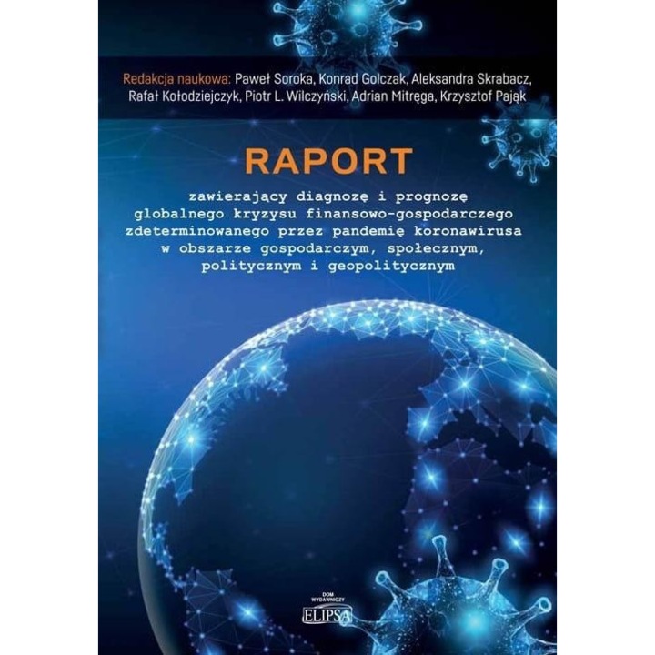Raport zawierający diagnozę i prognozę..