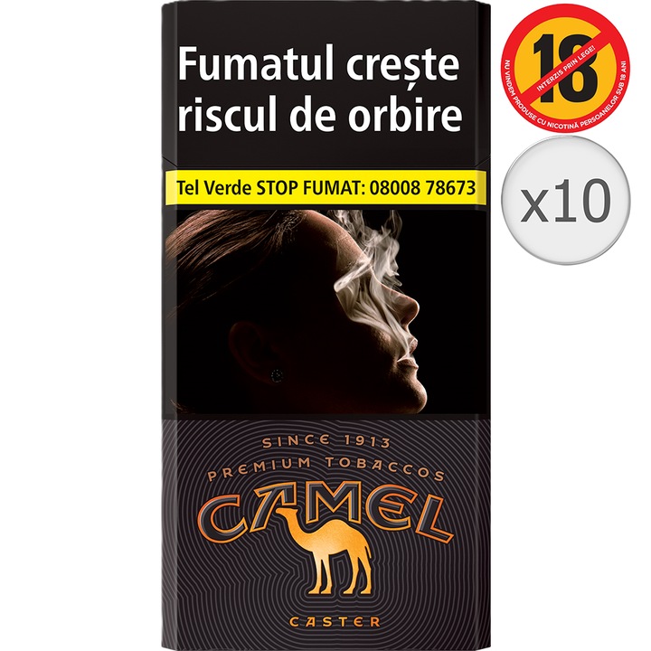 Cartus Camel Caster